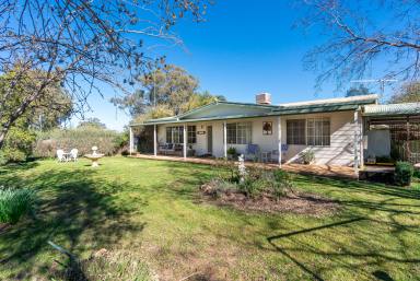 Farm Sold - NSW - Temora - 2666 - Looking for a Tree Change???  Large family home on 10.5 Acres.  (Image 2)