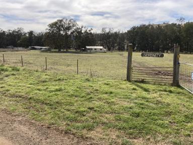 Farm Sold - NSW - Cassilis - 2329 - Serenity!  (Image 2)
