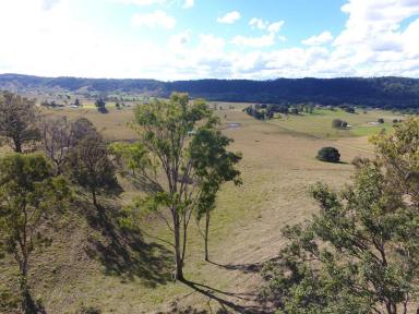 Farm Sold - NSW - Spring Grove - 2470 - MIDDLE OF PARADISE  (Image 2)