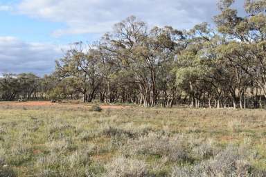 Farm Sold - SA - Sedan - 5353 - SEDAN GRAZING OR RECREATIONAL LAND  (Image 2)