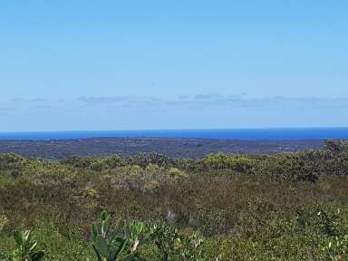 Farm Sold - WA - Bremer Bay - 6338 - MUST SELL BEFORE 30 JUNE 2021 -  Panoramic Ocean Views  (Image 2)