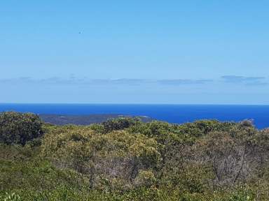 Farm Sold - WA - Bremer Bay - 6338 - MUST SELL BEFORE 30 JUNE 2021 -  Panoramic Ocean Views  (Image 2)