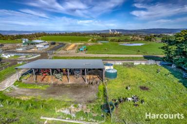 Farm Sold - VIC - Yallourn North - 3825 - 818 Acre Dairy Farm - 5 Titles - Outstanding Opportunity  (Image 2)