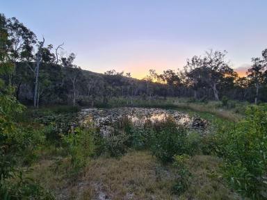Farm Sold - QLD - Deepwater - 4674 - Beautiful property, some work started, just over 65 acres.  (Image 2)