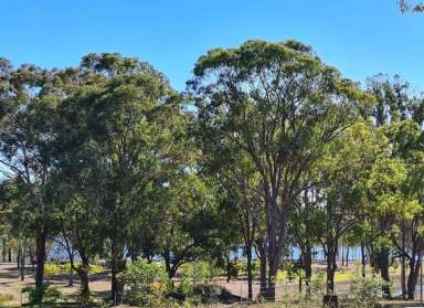 Farm Sold - QLD - Baffle Creek - 4674 - Lot 2 Coast Road BAFFLE CREEK  (Image 2)