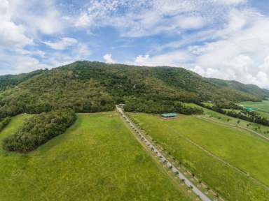 Farm Sold - QLD - Port Douglas - 4877 - ELEVATED VIEWS, SEMI RURAL  (Image 2)