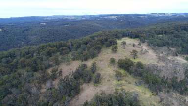 Farm Sold - NSW - Marengo - 2453 - Perpetual Lease Block  - 276.8ha (683.70 ac)  (Image 2)