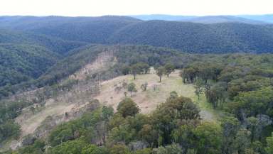 Farm Sold - NSW - Marengo - 2453 - Perpetual Lease Block  - 276.8ha (683.70 ac)  (Image 2)