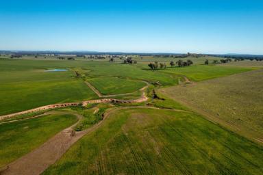 Farm Sold - NSW - Stockinbingal - 2725 - Mixed Farming Opportunity Like No Other!  (Image 2)