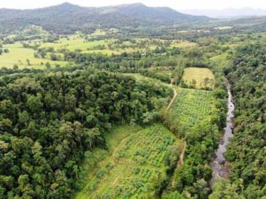 Farm Sold - QLD - Mount Charlton - 4741 - Mackay Hinterland - Lifestyle Property  (Image 2)