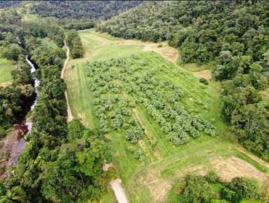 Farm Sold - QLD - Mount Charlton - 4741 - Mackay Hinterland - Lifestyle Property  (Image 2)