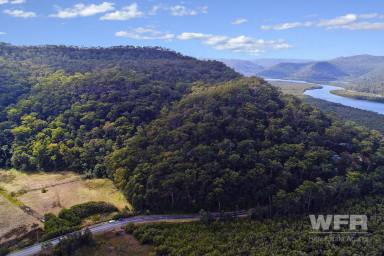 Farm Sold - NSW - Spencer - 2775 - Rare Offering, 55 Acres Close To Spencer Village.  (Image 2)