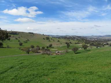 Farm Sold - NSW - Gundagai - 2722 - 11 acres only minutes from Gundagai.  (Image 2)