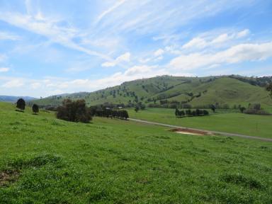 Farm Sold - NSW - Gundagai - 2722 - 11 acres only minutes from Gundagai.  (Image 2)