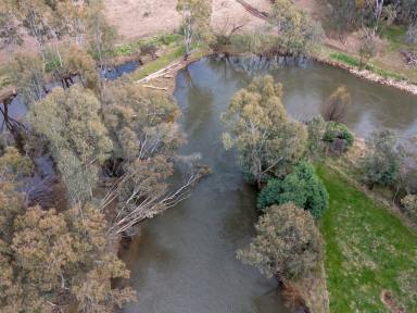 Farm Sold - VIC - Everton - 3678 - Quality Ovens River Country  (Image 2)