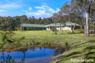 Farm Sold - NSW - Tallong - 2579 - Double the value!  (Image 2)