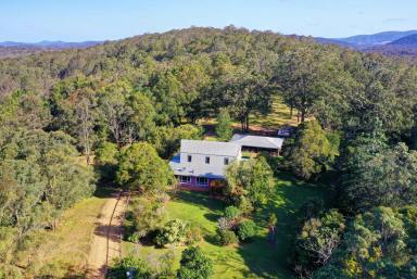 Farm Sold - NSW - Minimbah - 2312 - 'Your Own Peace of Paradise'  (Image 2)