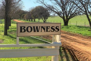 Farm Sold - NSW - Murringo - 2586 - Bowness and Willowmere  (Image 2)