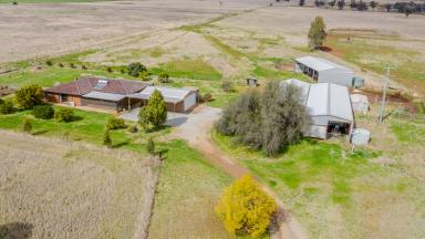 Farm Sold - NSW - Tamworth - 2340 - BLUE RIBBON RURAL LIVING A STONE'S THROW FROM TAMWORTH  (Image 2)