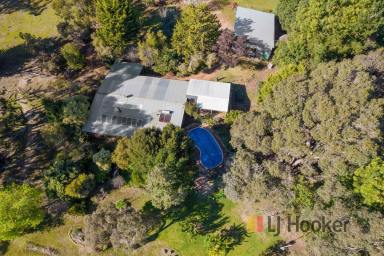 Farm Sold - WA - Pemberton - 6260 - Rammed Earth Home on Gorgeous Grounds  (Image 2)