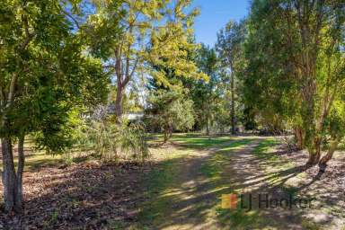 Farm Sold - WA - Pemberton - 6260 - Rammed Earth Home on Gorgeous Grounds  (Image 2)