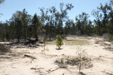 Farm Sold - QLD - Dalby - 4405 - 100 acres mostly treed. Great weekender for camping or living off the grid.  (Image 2)