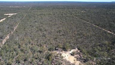 Farm Sold - QLD - Dalby - 4405 - 100 acres mostly treed. Great weekender for camping or living off the grid.  (Image 2)