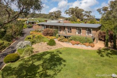 Farm Sold - VIC - Beaconsfield Upper - 3808 - LIGHT FILLED LUXURY ON TWO ACRES  (Image 2)