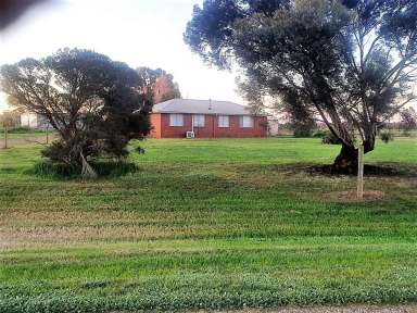 Farm For Sale - VIC - Rochester - 3561 - 429 Odonnell Rd  (Image 2)