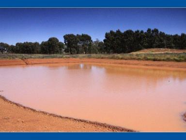 Farm Sold - NSW - Condobolin - 2877 - Attractive well balanced country  (Image 2)
