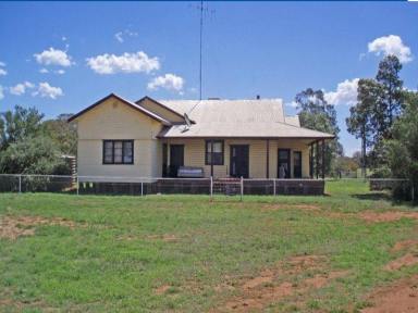 Farm Sold - NSW - Narromine - 2821 - Highly productive mixed farming enterprise  (Image 2)