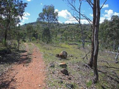 Farm Sold - NSW - Hargraves - 2850 - Quiet & Private Location ~ Excellent Recreational/ Start up /Make up Block  (Image 2)