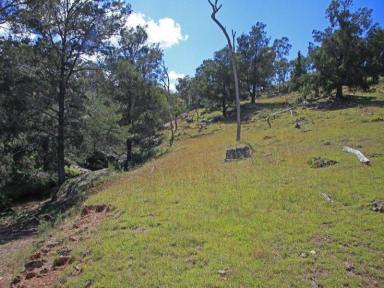 Farm Sold - NSW - Hargraves - 2850 - Quiet & Private Location ~ Excellent Recreational/ Start up /Make up Block  (Image 2)