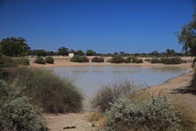 Farm Sold - NSW - Brewarrina - 2839 - Excellent water with 4 km Culgoa river with Grogans Hole and ground tanks  (Image 2)