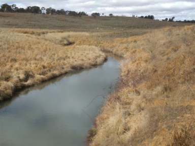 Farm Sold - NSW - Kentucky - 2354 - Well located property - Ideal for make up or hobby block  (Image 2)