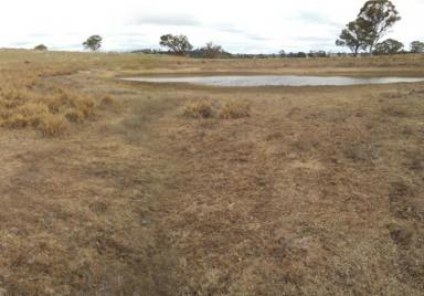 Farm Sold - NSW - Kentucky - 2354 - Well located property - Ideal for make up or hobby block  (Image 2)