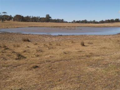 Farm Sold - NSW - Armidale - 2350 - Fertile soils with potential for many enterprises  (Image 2)