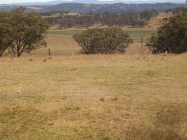 Farm Sold - NSW - Armidale - 2350 - Fertile soils with potential for many enterprises  (Image 2)