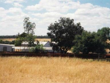 Farm Sold - NSW - Inverell - 2360 - Excellent location - Well balanced fertile soils  (Image 2)