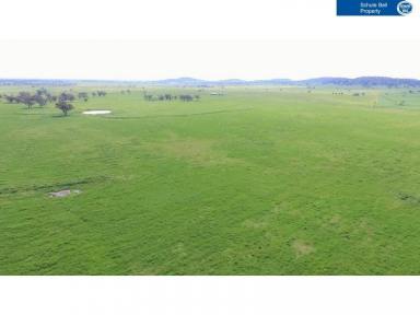 Farm Sold - NSW - Coonamble - 2829 - Cropping and Grazing country at its best  (Image 2)