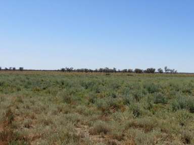 Farm Sold - NSW - Brewarrina - 2839 - Excellent breeding and fattening & wool growing country  (Image 2)