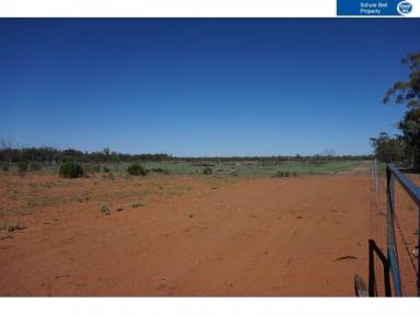 Farm Sold - QLD - Cunnamulla - 4490 - Opportunities for Income, Lifestyle & Growth  (Image 2)
