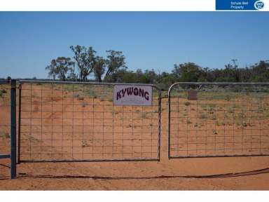 Farm Sold - QLD - Cunnamulla - 4490 - Opportunities for Income, Lifestyle & Growth  (Image 2)