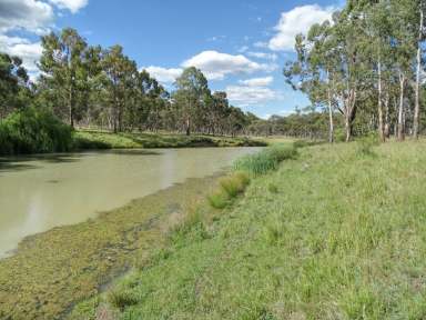 Farm Sold - NSW - Guyra - 2365 - Excellent Mixed Farming Enterprise  (Image 2)