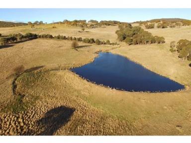 Farm Sold - NSW - Armidale - 2350 - The Best of Both Worlds  (Image 2)
