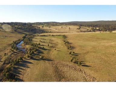 Farm Sold - NSW - Armidale - 2350 - The Best of Both Worlds  (Image 2)