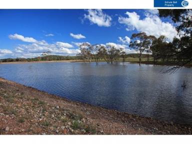 Farm Sold - NSW - Condobolin - 2877 - Large Scale Mixed Farming with Upside  (Image 2)