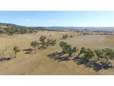 Farm Sold - NSW - Bathurst - 2795 - Well located to the township of Bathurst  (Image 2)