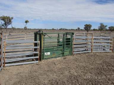 Farm Sold - NSW - Brewarrina - 2839 - Culgoa River Frontage  (Image 2)