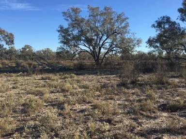 Farm Sold - NSW - Brewarrina - 2839 - Culgoa River Frontage  (Image 2)